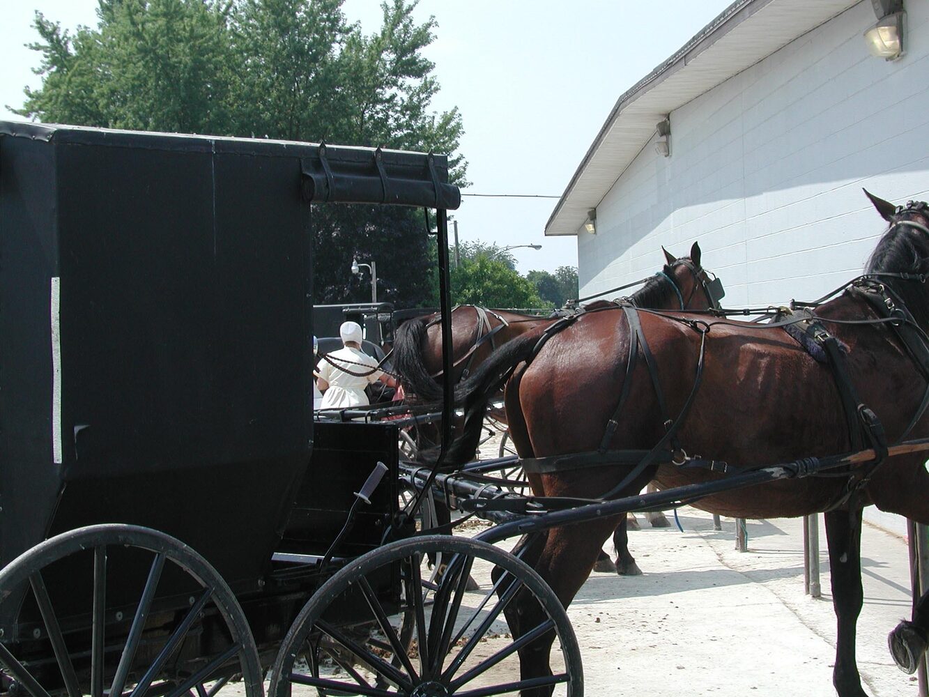 Amish country buggy